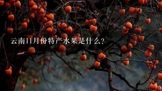 云南11月份特产水果是什么？