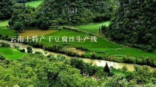 云南土特产干豆腐丝生产线